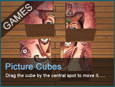 Picture Cubes