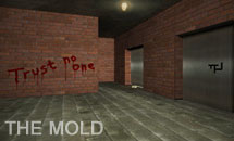 The Mold